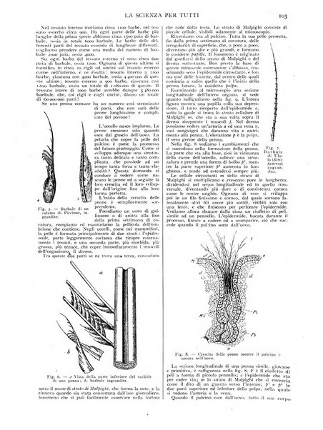 La scienza per tutti giornale popolare illustrato