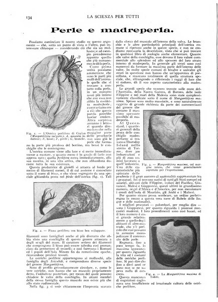 La scienza per tutti giornale popolare illustrato