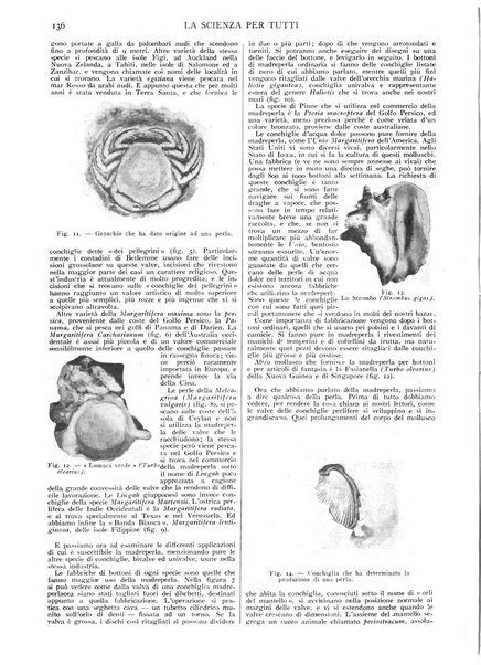 La scienza per tutti giornale popolare illustrato