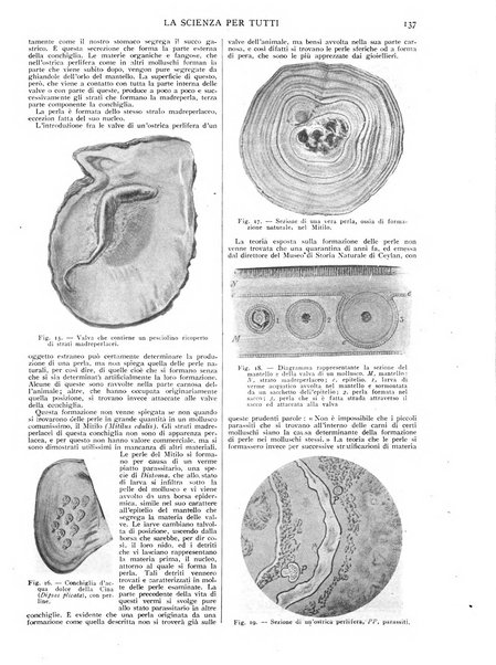 La scienza per tutti giornale popolare illustrato