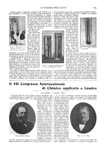 La scienza per tutti giornale popolare illustrato