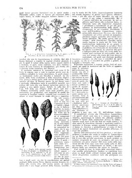 La scienza per tutti giornale popolare illustrato