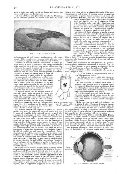 La scienza per tutti giornale popolare illustrato