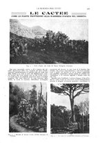 giornale/TO00194960/1909/unico/00000307