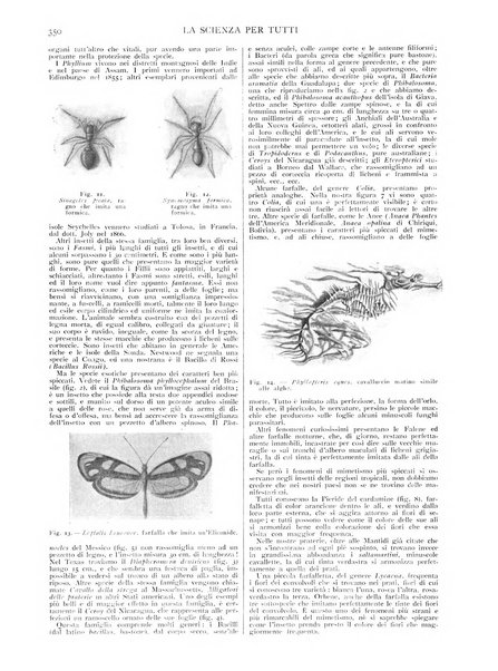 La scienza per tutti giornale popolare illustrato