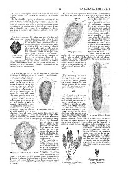 La scienza per tutti giornale popolare illustrato