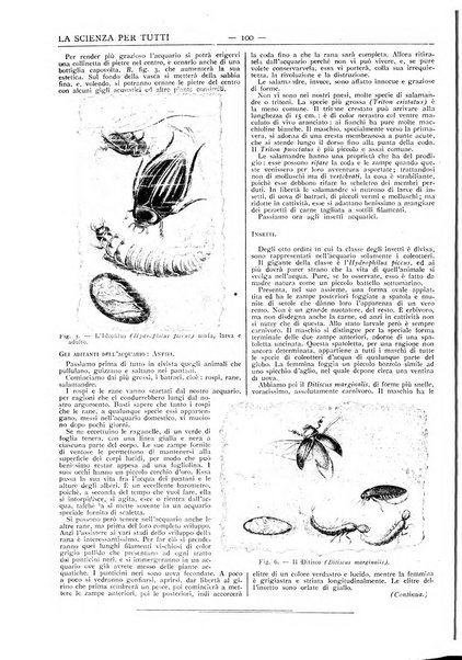 La scienza per tutti giornale popolare illustrato