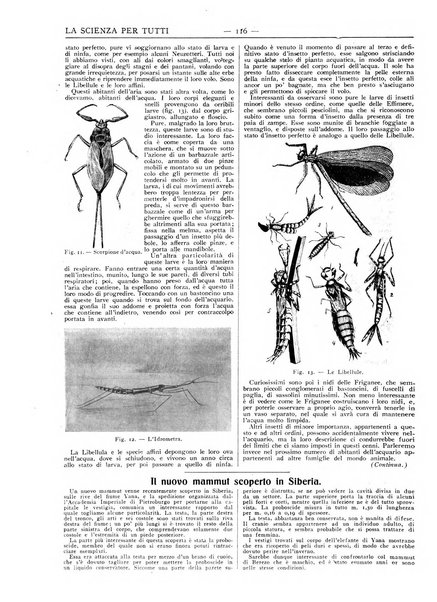 La scienza per tutti giornale popolare illustrato