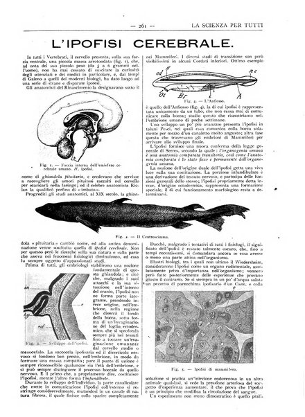 La scienza per tutti giornale popolare illustrato