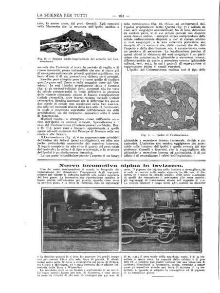 La scienza per tutti giornale popolare illustrato