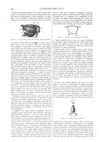 giornale/TO00194960/1910/unico/00000314