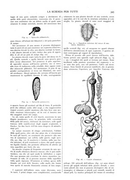 La scienza per tutti giornale popolare illustrato