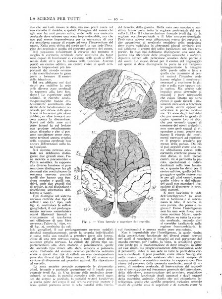 La scienza per tutti giornale popolare illustrato