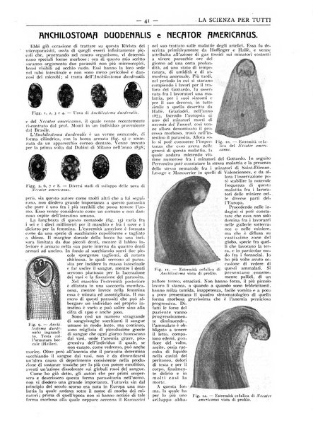 La scienza per tutti giornale popolare illustrato