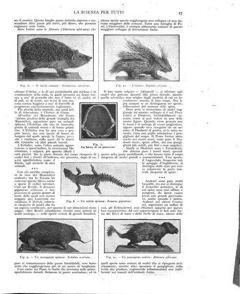 La scienza per tutti giornale popolare illustrato