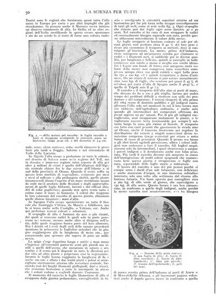 La scienza per tutti giornale popolare illustrato