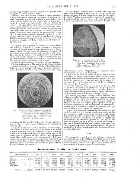 La scienza per tutti giornale popolare illustrato