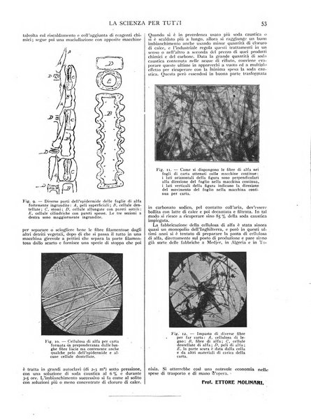 La scienza per tutti giornale popolare illustrato