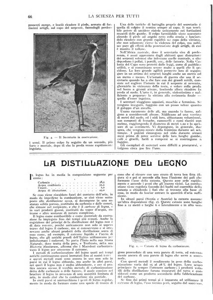 La scienza per tutti giornale popolare illustrato