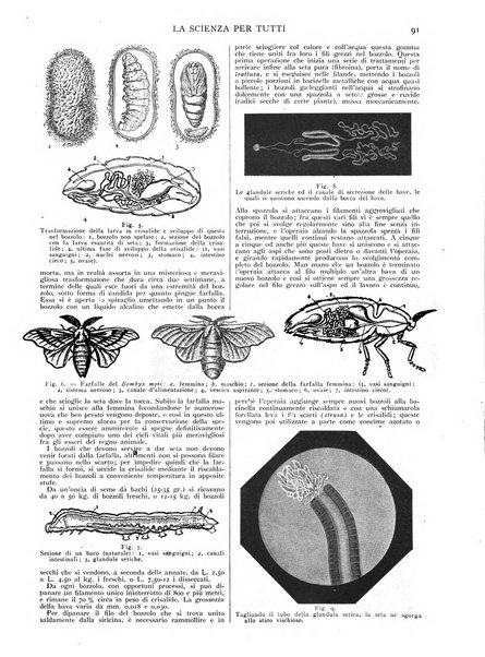 La scienza per tutti giornale popolare illustrato