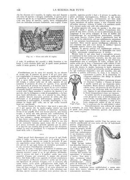 La scienza per tutti giornale popolare illustrato