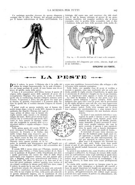 La scienza per tutti giornale popolare illustrato