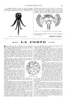 giornale/TO00194960/1911/unico/00000101