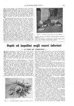 giornale/TO00194960/1911/unico/00000111