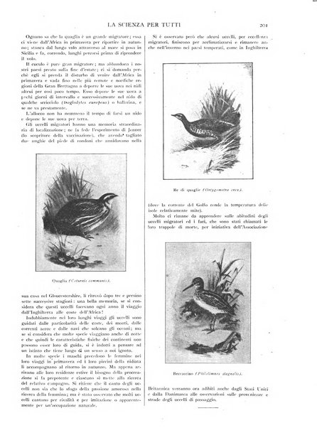 La scienza per tutti giornale popolare illustrato