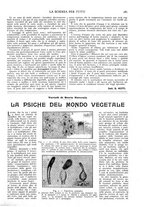 giornale/TO00194960/1911/unico/00000257