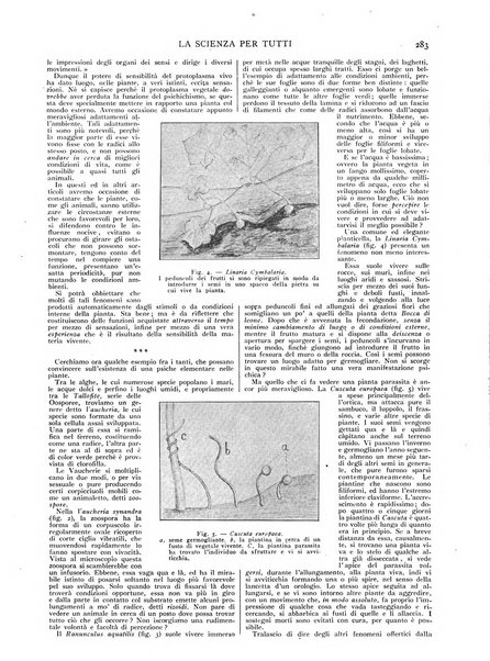 La scienza per tutti giornale popolare illustrato