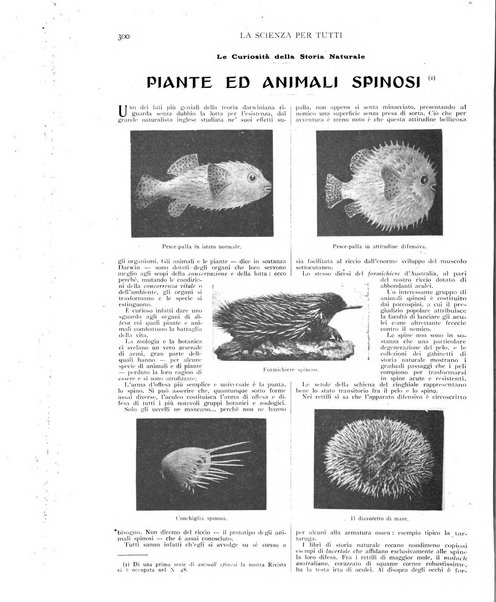 La scienza per tutti giornale popolare illustrato