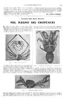 giornale/TO00194960/1911/unico/00000341