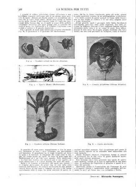 La scienza per tutti giornale popolare illustrato