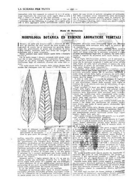 La scienza per tutti giornale popolare illustrato