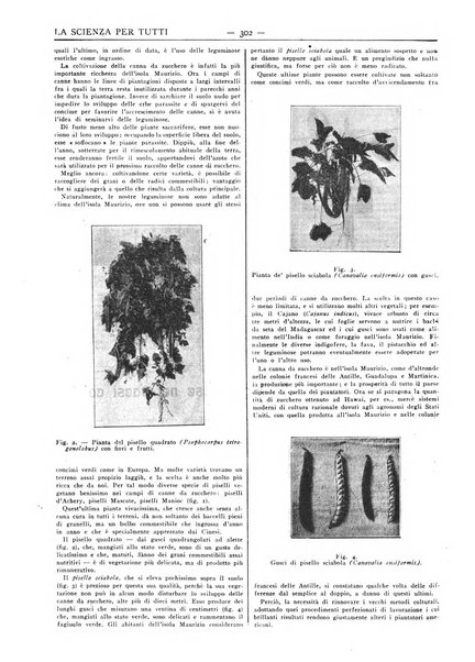 La scienza per tutti giornale popolare illustrato