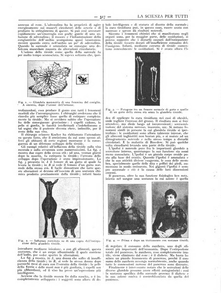 La scienza per tutti giornale popolare illustrato