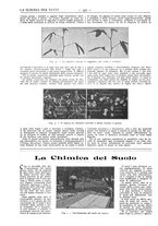 giornale/TO00194960/1911/unico/00000740