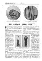 giornale/TO00194960/1911/unico/00000784