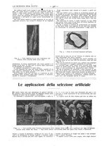 giornale/TO00194960/1911/unico/00000788