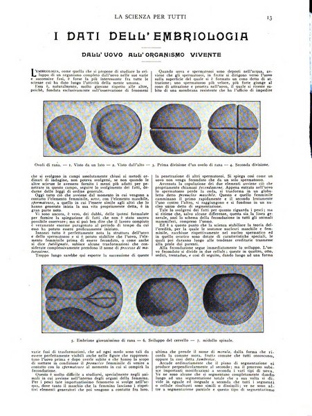 La scienza per tutti giornale popolare illustrato