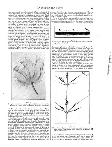 La scienza per tutti giornale popolare illustrato