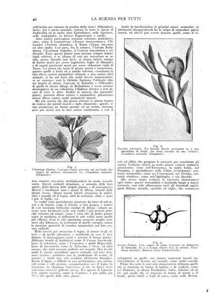 La scienza per tutti giornale popolare illustrato