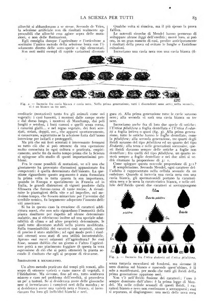 La scienza per tutti giornale popolare illustrato