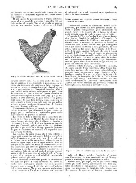 La scienza per tutti giornale popolare illustrato