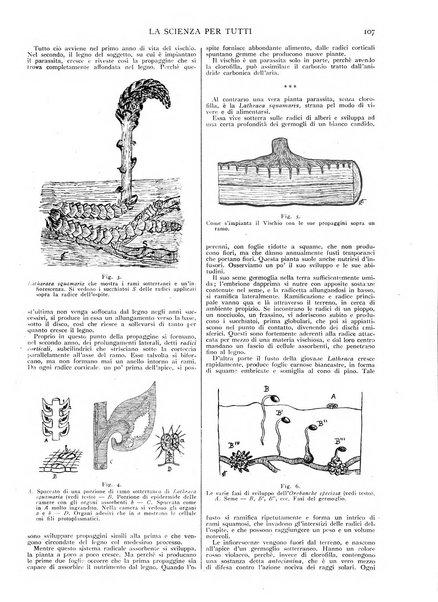 La scienza per tutti giornale popolare illustrato