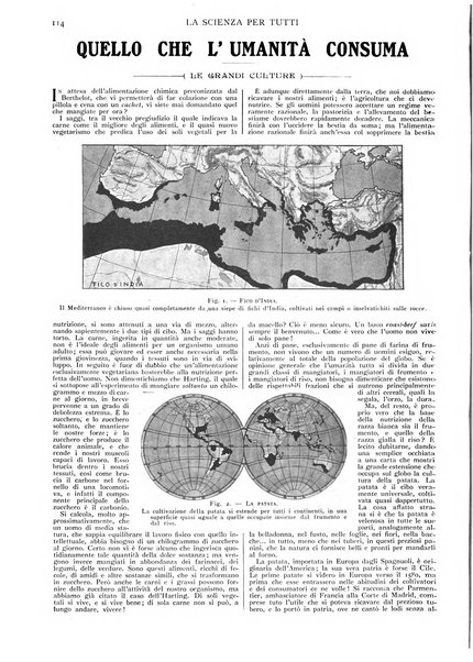 La scienza per tutti giornale popolare illustrato