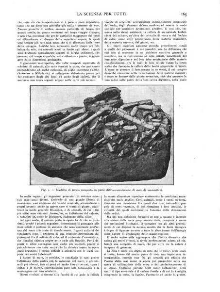 La scienza per tutti giornale popolare illustrato