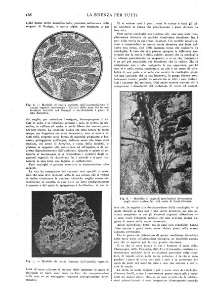 La scienza per tutti giornale popolare illustrato