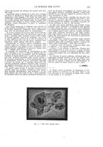 giornale/TO00194960/1912/unico/00000181